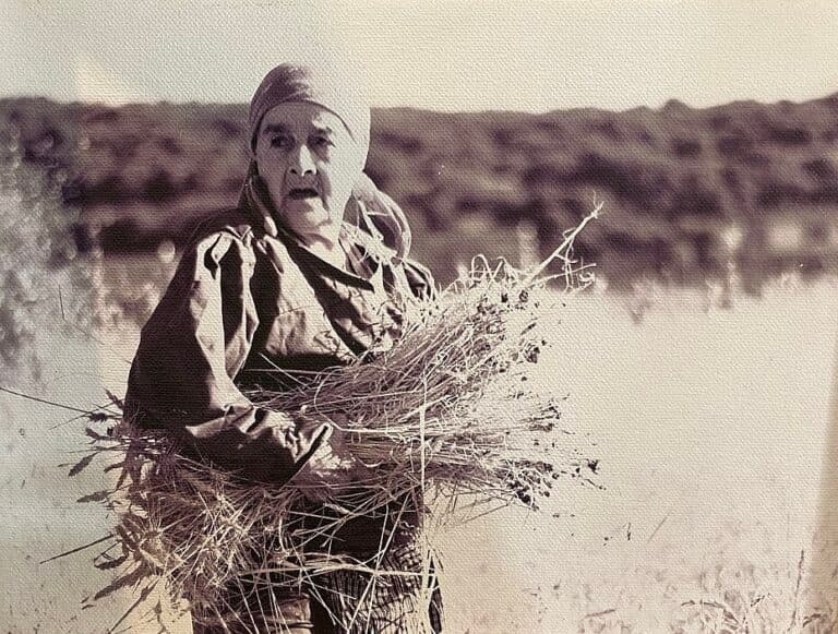 Margalit Zinati working in a field in Peki'in in the 1950s.